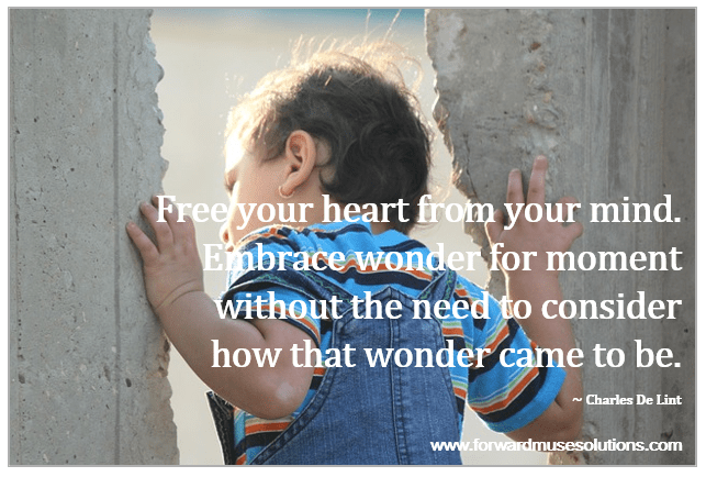 Embrace Wonder (MEME)